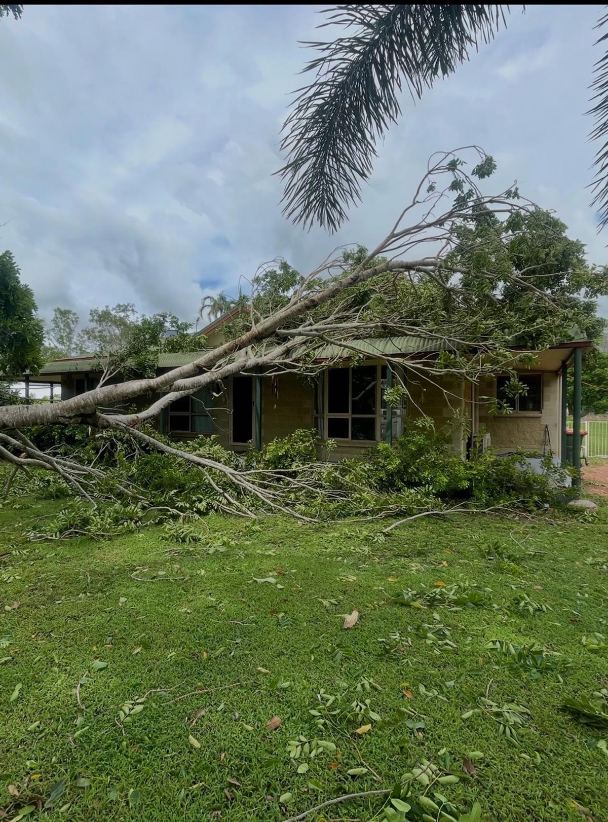 Tree fallen on house