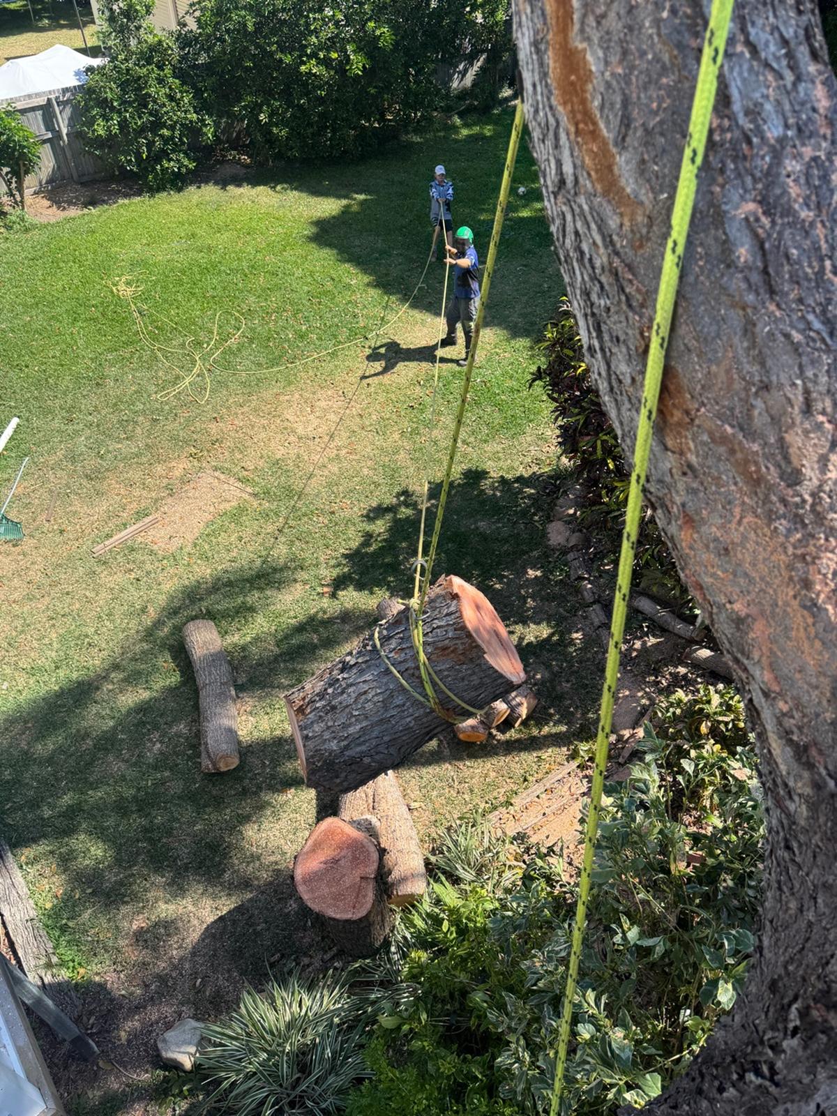 Rigging logs